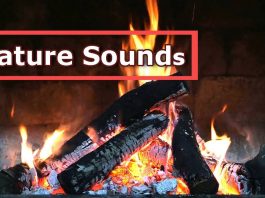burning fire nature sounds