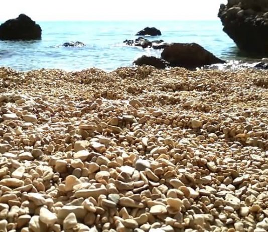 nature-sounds-ocean