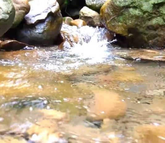 stream