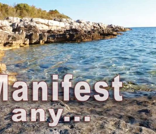 manifest anything