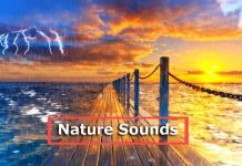 rain thunder nature sounds