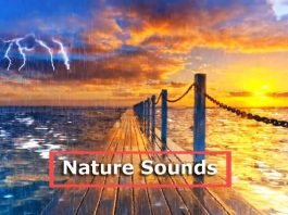 rain thunder nature sounds