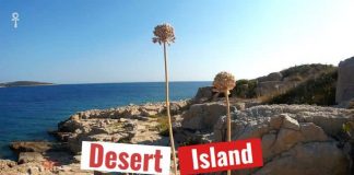 desired-island