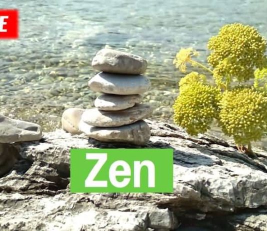 zen-stone-meditation
